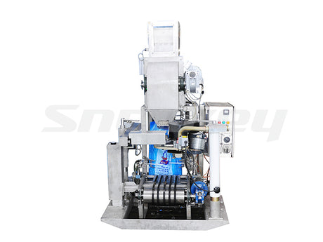 ICEPRO Full-Automatic Ice Bagging Machine