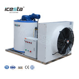 ICESTA 3000kg/24hr Flake Ice Maker Machine - Fresh/Salt Flake Ice