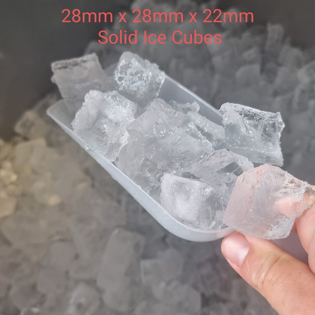 Shot of ice cubes the ICEPRO 55kg/24hr Cube Ice Maker Machine produces.
